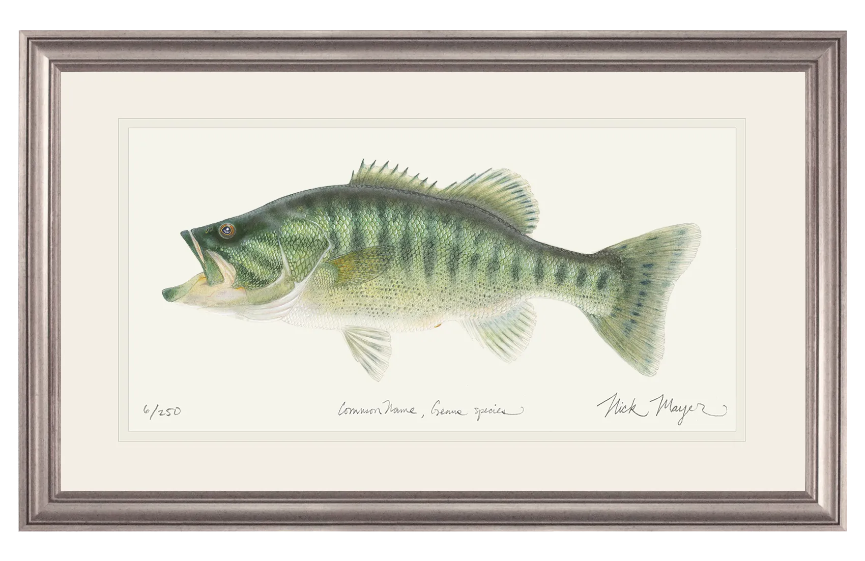 Guadalupe Bass Print