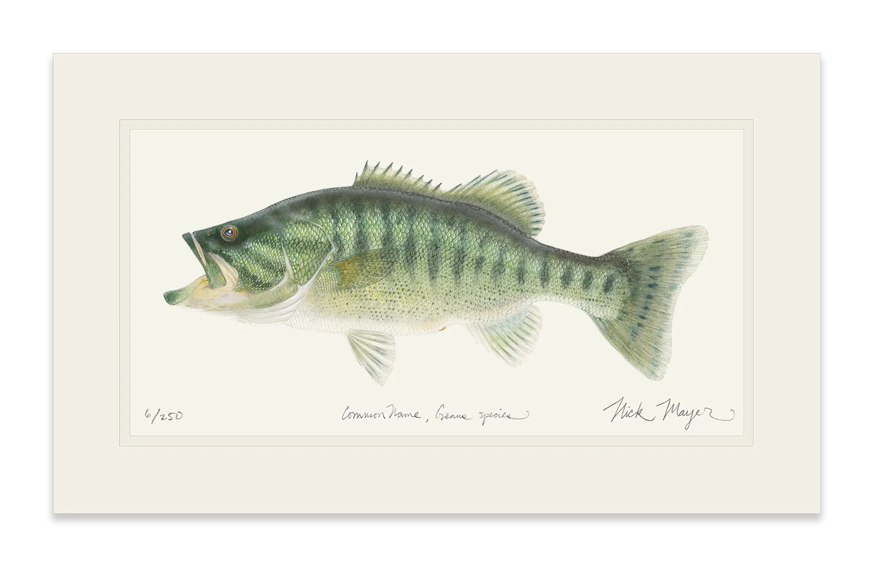 Guadalupe Bass Print