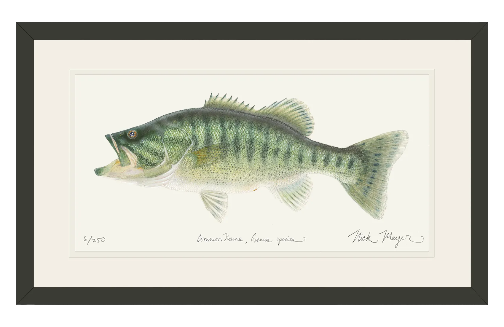 Guadalupe Bass Print