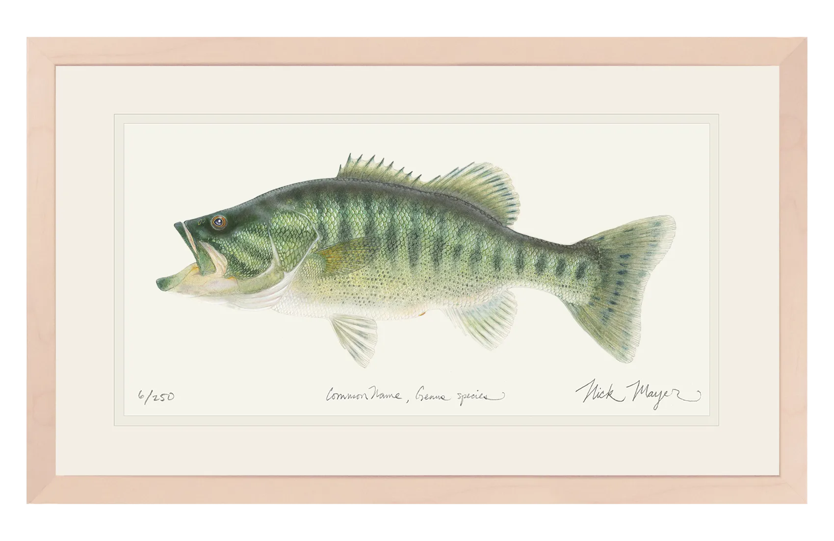 Guadalupe Bass Print